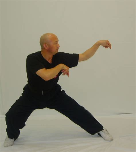 Praying Mantis Kung Fu Training In Sydney Learn Our Specialty