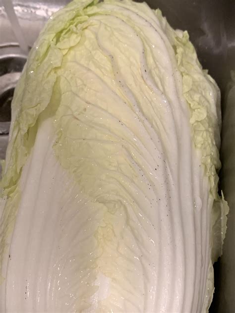 Weird Spots On Napa Cabbage? We've Got You Covered.