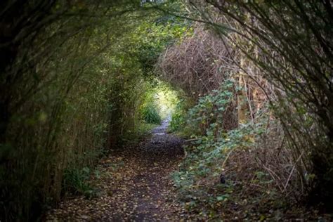 The Secret Lake Behind A Tip Thats Loved By Levenshulme Locals