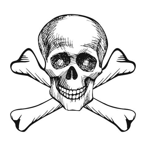 Cr Neo Humano S Mbolo Pirata Jolly Roger Vector De Boceto Dibujado A