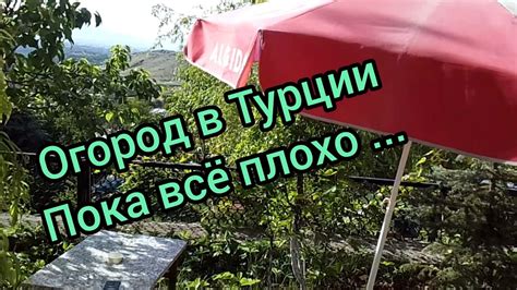 Огород в Турции. Первый опыт. - YouTube