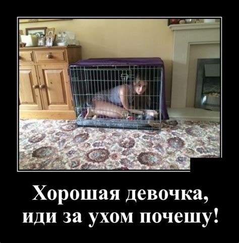 Демотиваторы. Классическая ржака / Писец - приколы интернета
