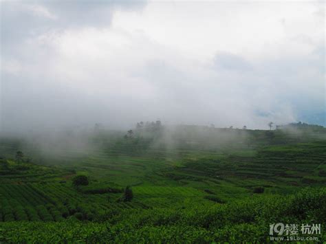 牵手旅行，山重水复疑无路，柳暗花明又一村！ 游记攻略 旅游先遣队 杭州19楼