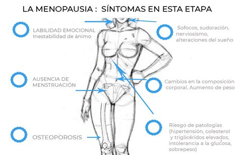 Menopausia Cambios Corporales Consejos Dra Marta Aguirre