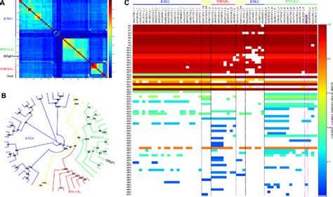 A Sequence Identity Heatmap Showing The Pairwise Percentage Identity