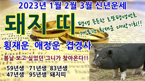 돼지띠2023년1월2월3월운세돼지띠평생사주계묘년돼지띠운세돼지띠로또1등당첨운세돼지띠횡재운세47년59년71년83년