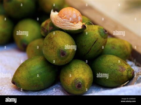 Papua New Guinea Betel Nut Hi Res Stock Photography And Images Alamy