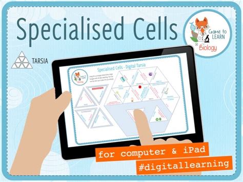 Specialised Cells Digital Tarsia KS3 4 Teaching Resources