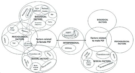 The Biopsychosocial Model Of Postpartum Couple S Sexual Function Download Scientific Diagram