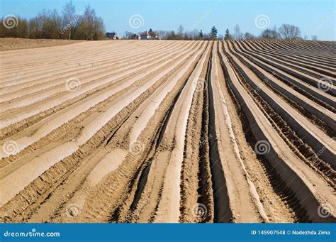 Surcos Lisos De La Regi N Agr Cola Campo Arado En Primavera Foto De