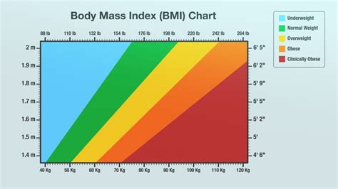 Bmi Calculator Measure Your Body Mass Index For Better Health And Fitness