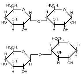 Why Does Maltose Have Both Alpha And Beta Anomers Brainly