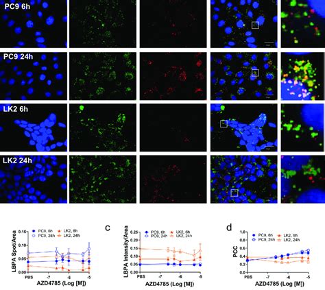 Azd Is Delivered To The Lbpa Positive Le Compartment In Pc But Not