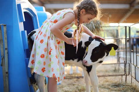 Dagje Bij De Boer Dag 2022 Zondag 24 April KiDDoWz Voor Kinderen En