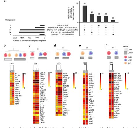 Figure 3 from Molecular de ﬁ nition of group 1 innate lymphoid cells in