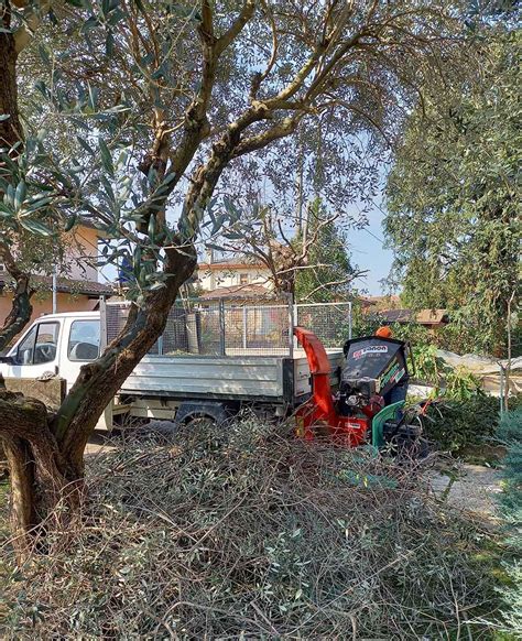 Manutenzione Giardini E Aree Verdi A Treviso Green Il Giardiniere