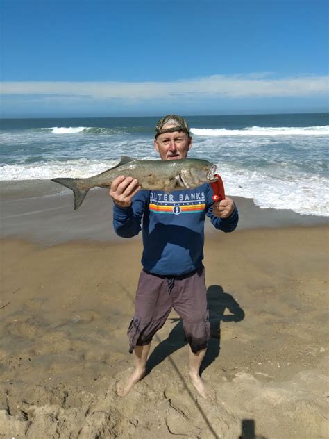 Surf Fishing On The Outer Banks 5623 Bobs Bait And Tackle