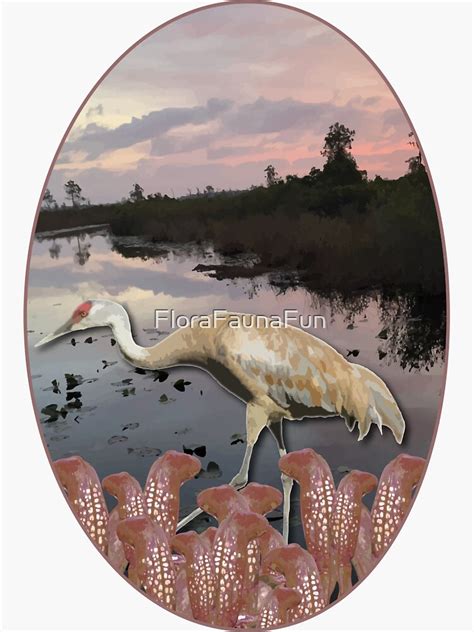 Flora Fauna Travel Series Okefenokee National Wildlife Refuge Ga