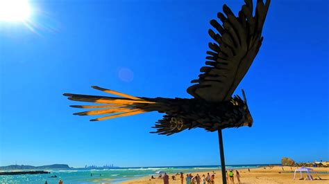 K Pt Of Swell Sculpture Festival Walking Tour Gold Coast