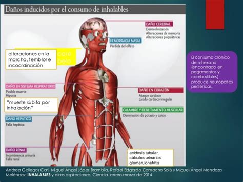 ¿cuáles Son Las Consecuencias De Consumir Sustancias Adictivas Nueva Escuela Mexicana