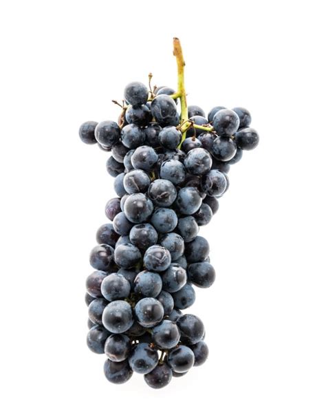 Cabernet Franc Wine Grape – Pardo Wine Grapes