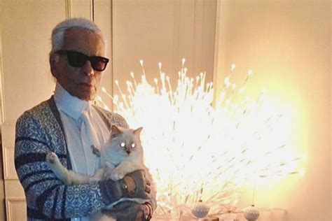 Ein Leben Wie Gott In Frankreich Lagerfeld Katze Choupette Ist