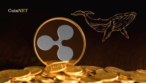 Xrp Coinnet Bitcoin Haberleri Blockchain Ve Kripto Para Haberleri