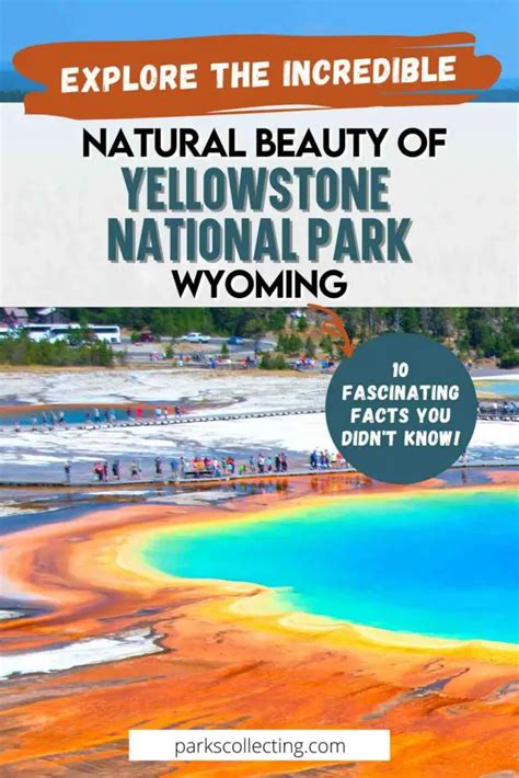 10 Fun Facts About Yellowstone National Park