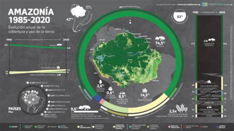 Amazônia perdeu um Chile de cobertura vegetal em 36 anos diz estudo