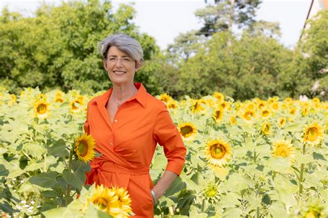 Sonnenblumenöl Öl des Monats von BIO PLANÈTE Entdecken Sie