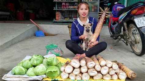 Harvest Giant Bamboo Shoots Green Vegetables Bring Them To The Market To Sell Chuc Thi Duong