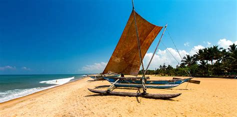 8 Days Sri Lanka Tour Package Regencyholidays