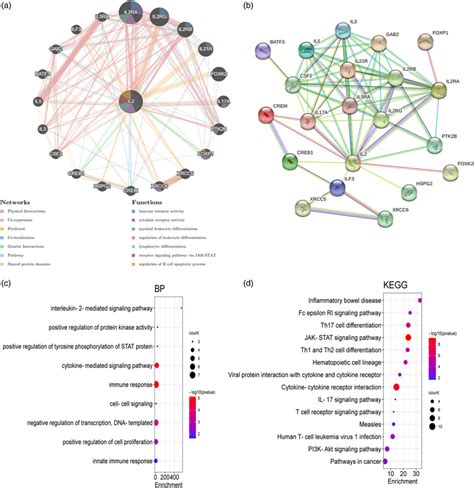 A The Gene Gene Interaction Network Of Il Was Constructed Using