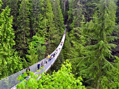 Capilano Suspension Bridge Wallpapers Top Free Capilano Suspension Bridge Backgrounds