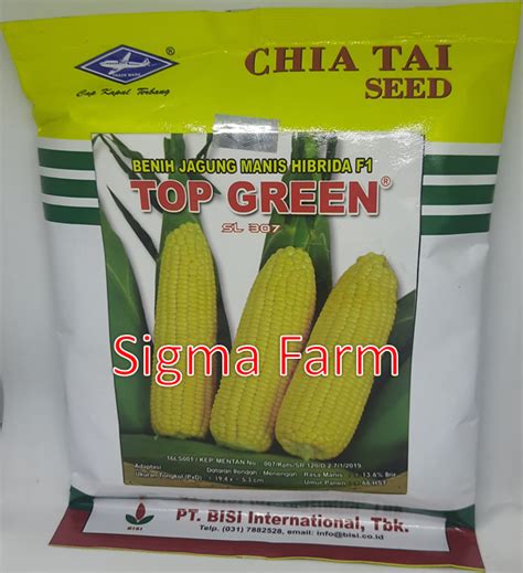 Benih Jagung Manis Hibrida F1 TOP GREEN 250 Gram Cap Kapal Terbang