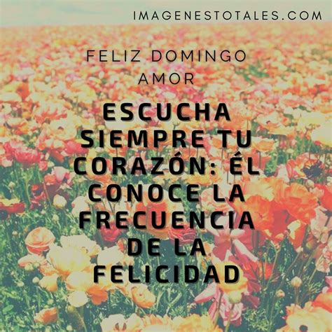 feliz domingo amor 6 Imágenes Totales