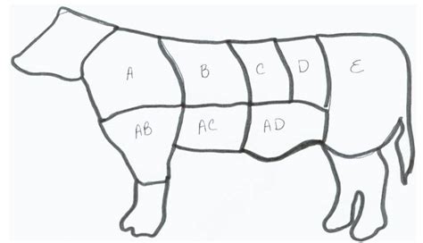 Meat And Poultry Review Diagram Quizlet