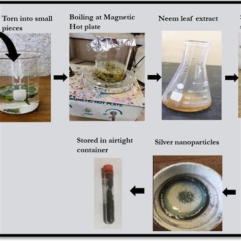 Schematic Of Green Synthesis Of Zinc Oxide Nanoparticles By Using Neem