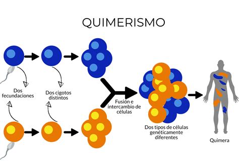 Quimerismo Genotipia