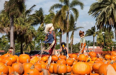 Fall Harvest Party In Florida Autumn Event Planning Tips For Fl