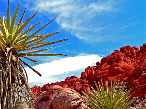 Red Rock Canyon 2 Free Photo Download | FreeImages