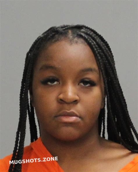 JOHNSON BRIANA 12 19 2023 Brazos County Mugshots Zone