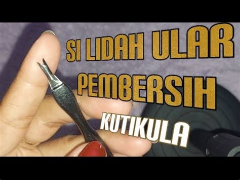 Alat Dan Fungsi Dari Si Lidah Ular Untuk Nail Art YouTube