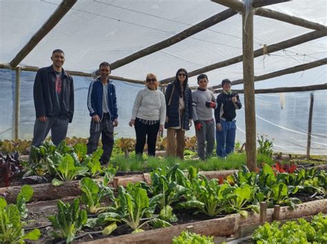 El Heraldo El Proyecto Cultivamos Apunta A Seguir Expandi Ndose El