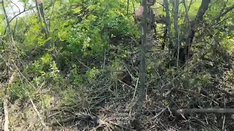 Walter Report 🇺🇦 On Twitter Rt Walterreport Clearing Russian Trenches