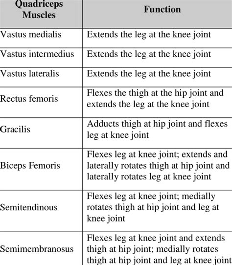 2 Functions Of Different Muscles Controlling Knee Motion 10