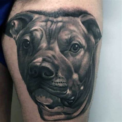 50 Pitbull Tattoo Designs For Men - Dog Ink Ideas