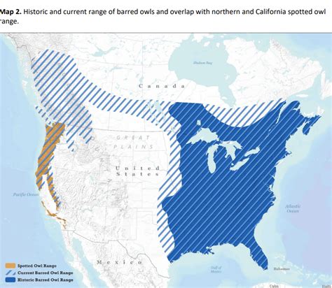 For Us Fish And Wildlife Service Management” Means Killing