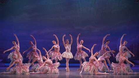 Archives Events The Washington Ballet