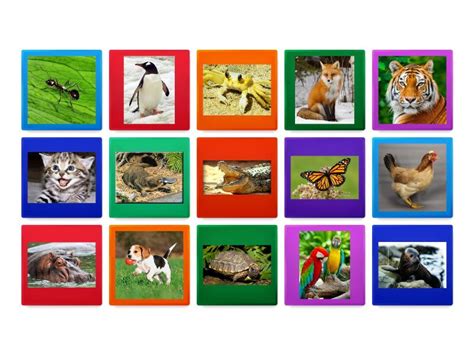 TRABALENGUAS ANIMALES - Flip tiles